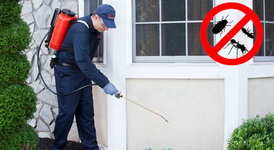 Seydikemer Kemirgen İlaçlama böcek ilaçlama ve haşere kontrolü — ilaclama-tr.com